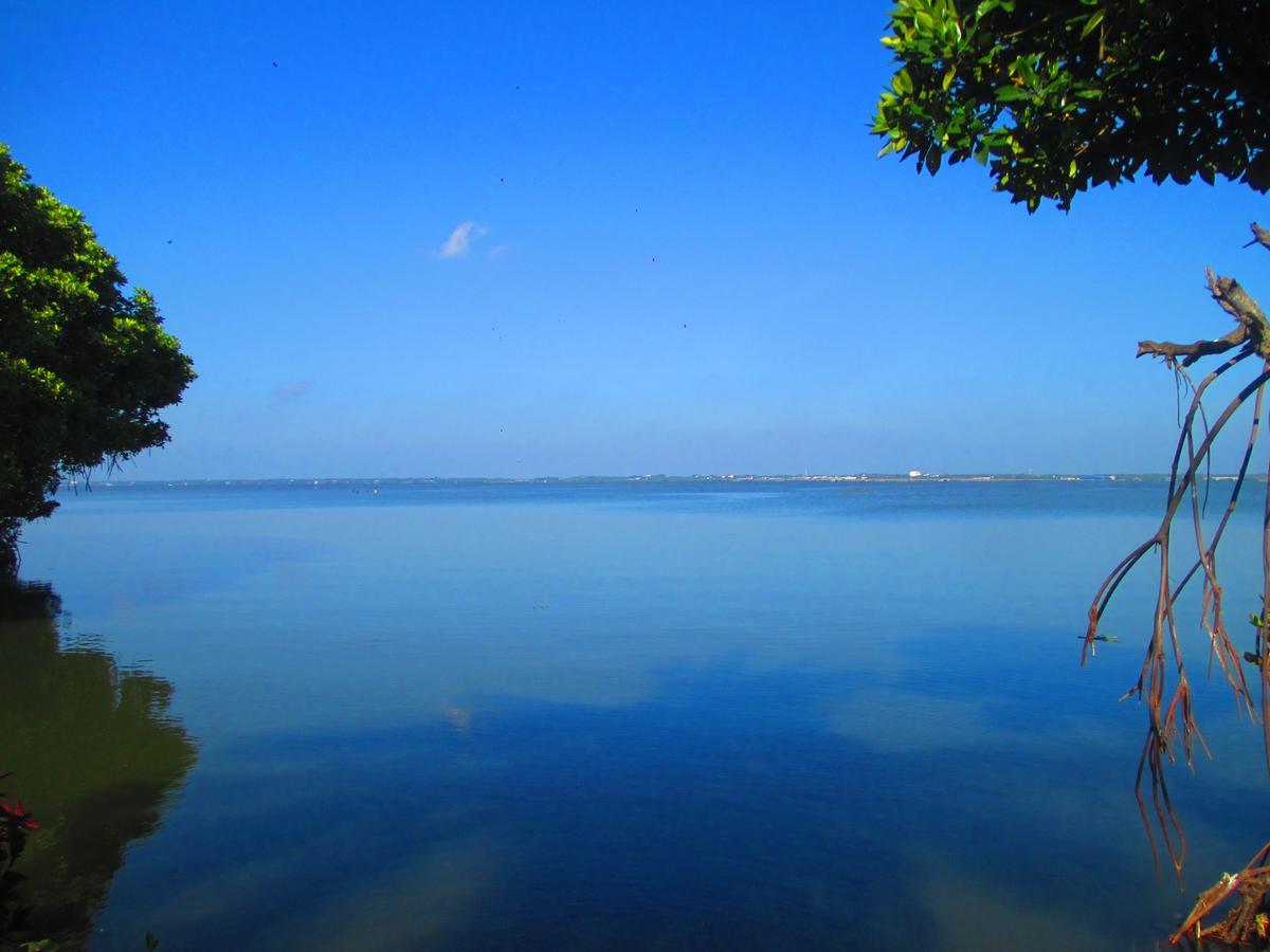 Nico Lagoon Hotel Negombo Exterior photo